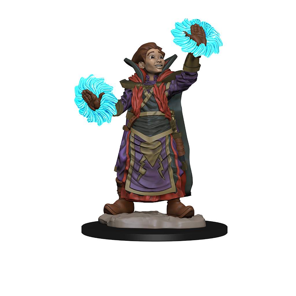 Wardlings RPG Figures Boy Wizard and Imp