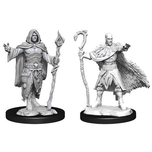 D&D Nolzurs Minis: Human Male Druid