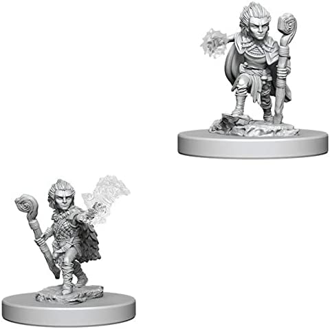D&D Deep Cuts Minis: Gnome Male Druid