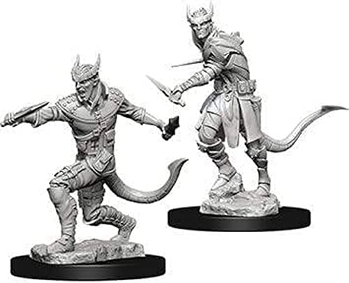 D&D Nolzurs Minis: Tiefling Male Rogue