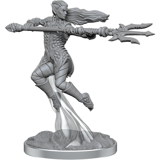D&D Nolzurs Minis: Sea Elf Fighters