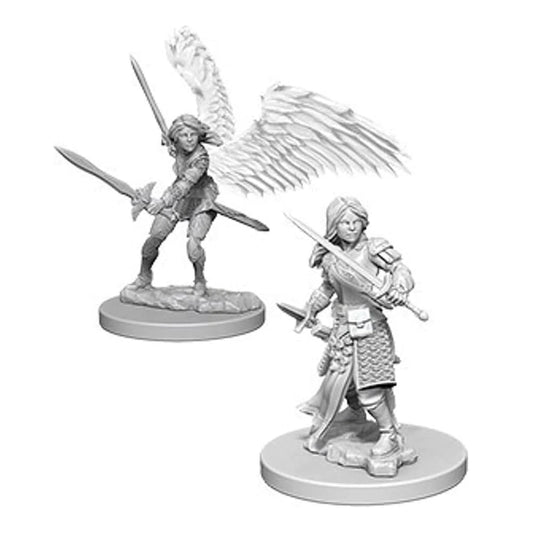 D&D Nolzurs Minis: Aasimar Female Paladin