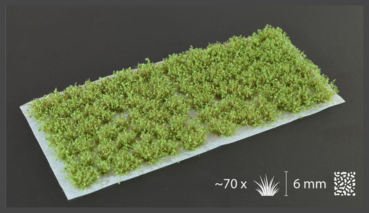 Green Shrubs - Wild