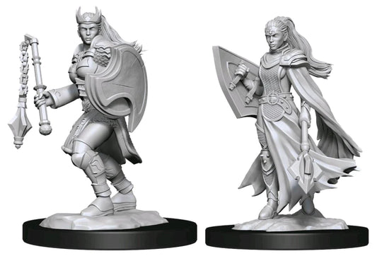 D&D Nolzurs Minis: Kalashtar Cleric