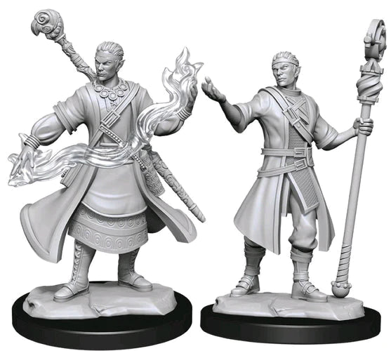 D&D Nolzurs Minis: Half-elf Male Wizard