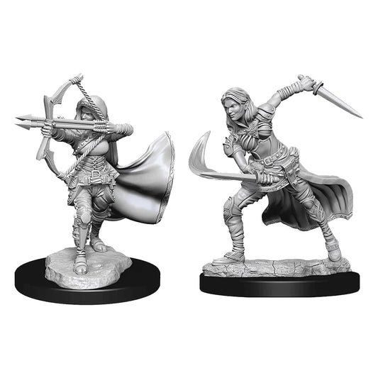D&D Nolzurs Minis: Air Genasi Female