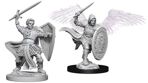 D&D Nolzurs Minis: Aasimar Male Paladin