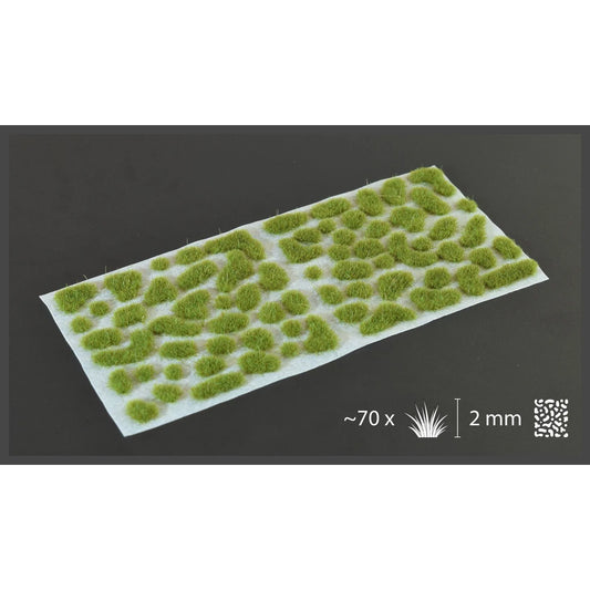 Dry Green 2mm - Wild