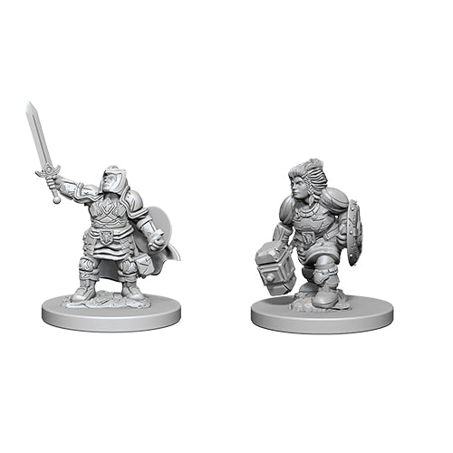 D&D Nolzurs Minis: Dwarf Female Paladin