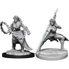 D&D Nolzurs Minis: Human Female Monk