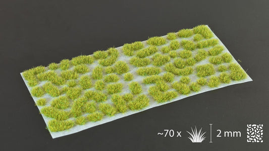 Moss 2mm - Wild
