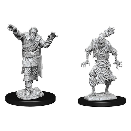 D&D Nolzurs Minis: Scarecrow & Stone Cursed