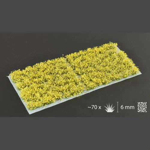 Yellow Flowers - Wild