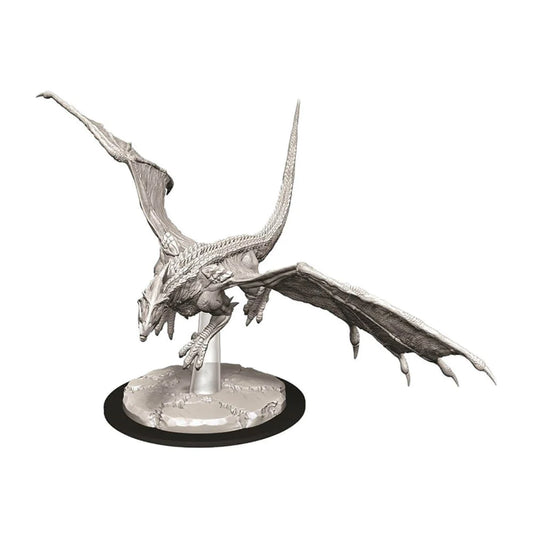 D&D Nolzurs Minis: Young White Dragon